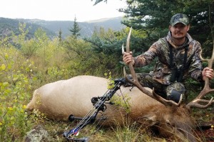 Zacks Bull